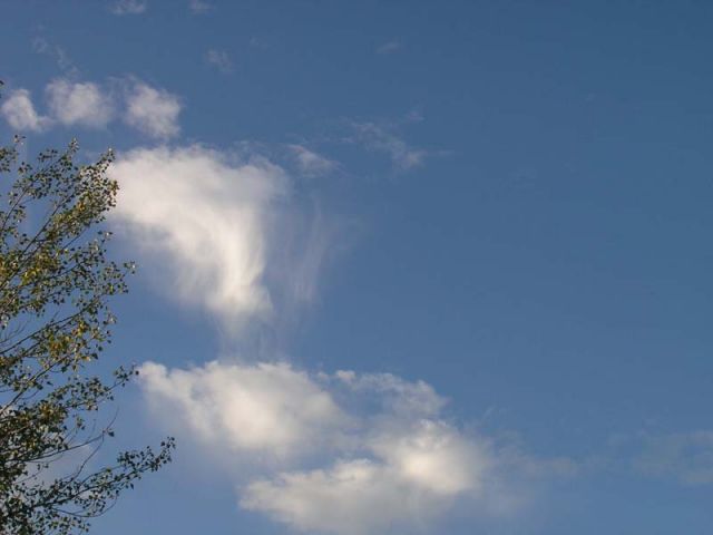 p9010008 copie.jpg